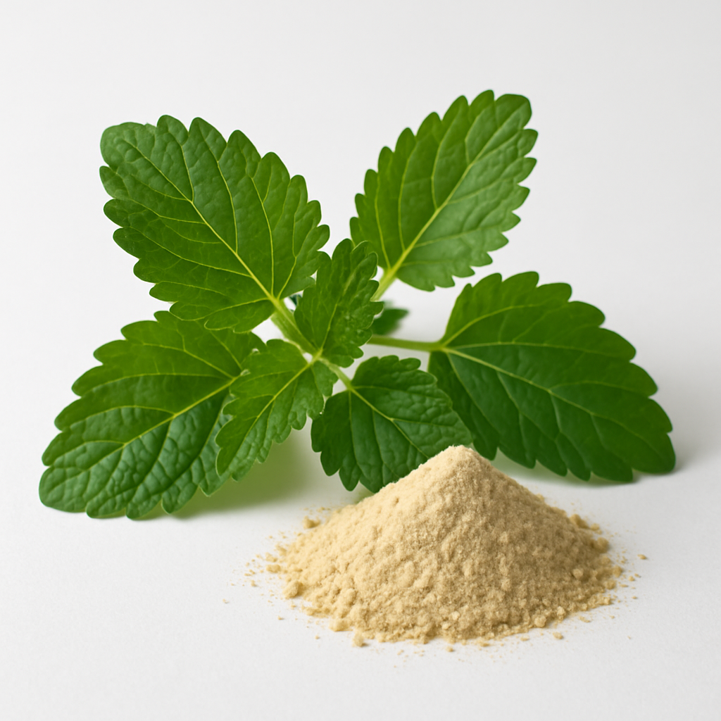 Lemon Balm