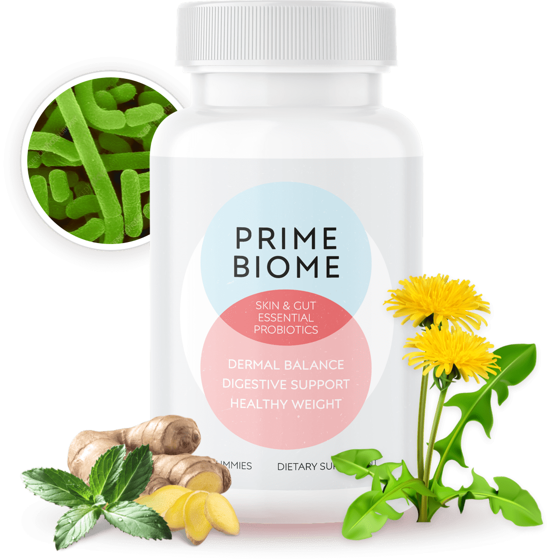 Prime Biome Bottle and Ingredients