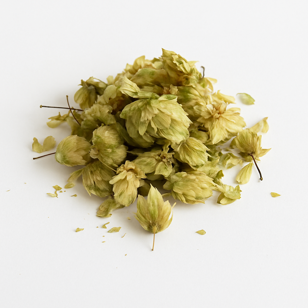 Hops (Humulus Lupulus)